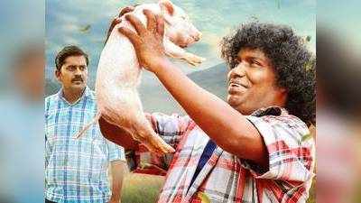 Yogi Babu: யோகி பாபு, திண்டுக்கல் லியோனி, விஜய் டிவி ராமர் நடிக்கும் பன்னிகுட்டி ஷூட்டிங் அப்டேட்!