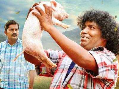 Yogi Babu: யோகி பாபு, திண்டுக்கல் லியோனி, விஜய் டிவி ராமர் நடிக்கும் பன்னிகுட்டி ஷூட்டிங் அப்டேட்!