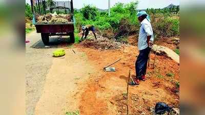 ವಿಕ ಇಂಪ್ಯಾಕ್ಟ್: ಕೋಳಿ ತ್ಯಾಜ್ಯ ತೆರವು