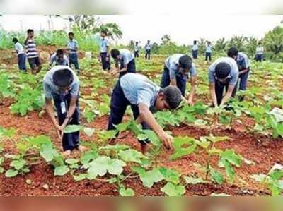 ಕೇರಳದ ಪ್ರತಿ ಶಾಲೆಯಲ್ಲೂ ತರಕಾರಿ ಕೃಷಿ