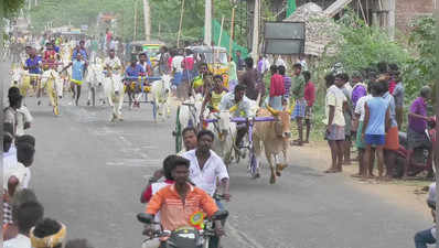மதுரையில் உற்சாகத்துடன் நடைபெற்ற ரேக்ளா பந்தயம்