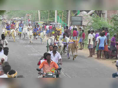 மதுரையில் உற்சாகத்துடன் நடைபெற்ற ரேக்ளா பந்தயம்