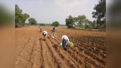 ಉತ್ತಮ ಮಳೆ: ಕೃಷಿ ಚಟುವಟಿಕೆ ಚುರುಕು