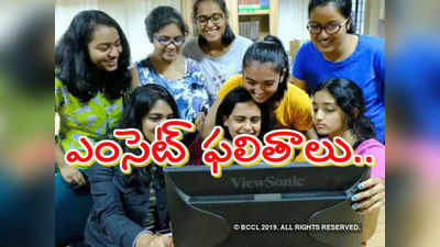 AP EAMCET Result: ఏపీ ఎంసెట్ ఫలితాలు విడుదల.. ఇంజినీరింగ్‌లో అబ్బాయి.. అగ్రి,మెడికల్‌లో అమ్మాయి టాపర్