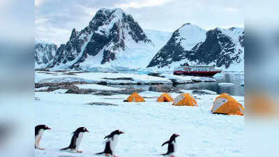 जीवनभर न भूलने वाला अनुभव चाहते हैं तो जाएं Antarctica