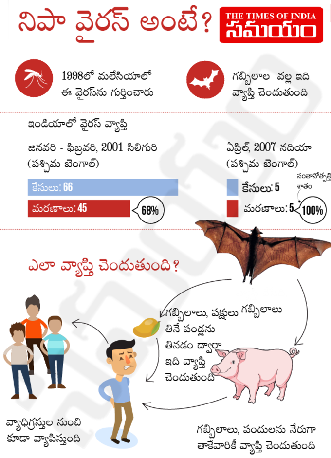 ఇలా వ్యాపిస్తుంది