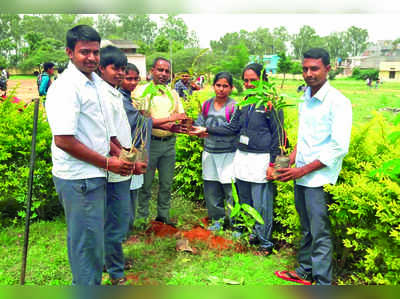 ಸರಕಾರಿ ಕಾಲೇಜು ಕ್ಯಾಂಪಸ್‌ ಹಸಿರುಮಯ