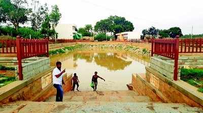 ಬೆಳ್ಳೂಟಿಯಲ್ಲಿ ಸದ್ದಿಲ್ಲದೆ ನಡೆದಿದೆ ಹಸಿರು ಕ್ರಾಂತಿ