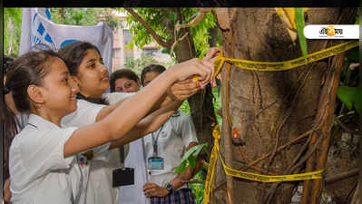 গাছের সঙ্গে সৌভ্রাতৃত্বের রাখি, বিশ্ব পরিবেশ দিবসে পড়ুয়াদের নজির!