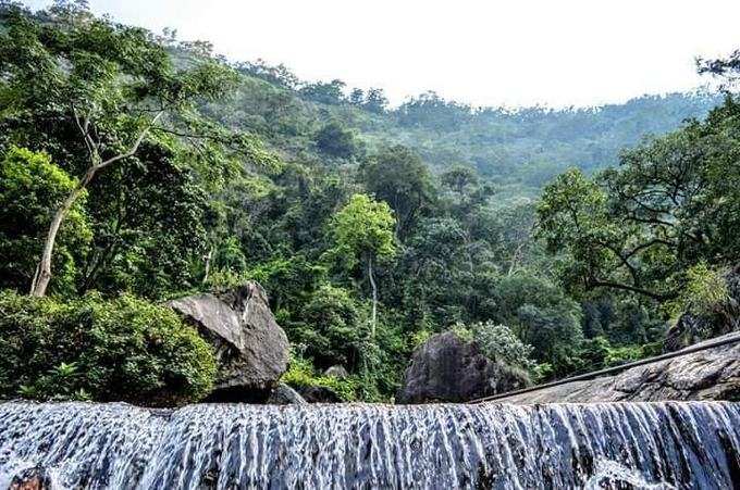 கோவை