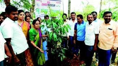 ಪ್ರಕೃತಿಯನ್ನು ಪ್ರೀತಿಸಿ ಪೋಷಿಸಿ