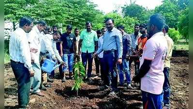 ತೋಟಗಾರಿಕೆ ಇಲಾಖೆಯಿಂದ ಹಣ್ಣಿನ ಸಸಿಗಳ ನಾಟಿ