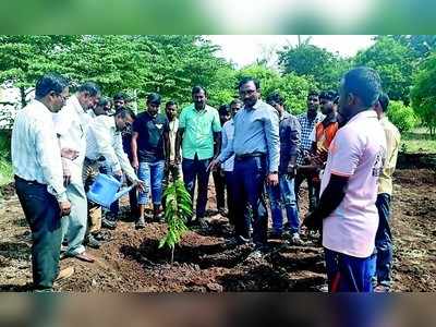 ತೋಟಗಾರಿಕೆ ಇಲಾಖೆಯಿಂದ ಹಣ್ಣಿನ ಸಸಿಗಳ ನಾಟಿ