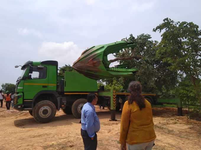 ಒಟ್ಟಾರೆ 7,059 ಮರಗಳ ಸ್ಥಳಾಂತರ 