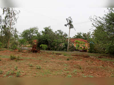 ಬುಡಸಮೇತ ಬಿದ್ದ 200ಕ್ಕೂ ಹೆಚ್ಚು ಮರ