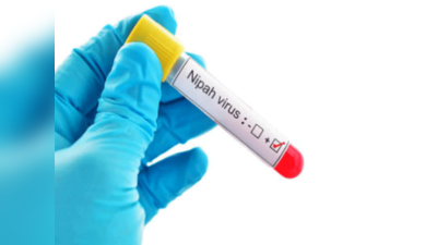 निपाह वायरस: स्वास्थ्य विभाग अलर्ट, बरतें ये सावाधानियां