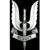 Parachute Regiment Para Special Forces (SF) Logo Wallpaper - Allpicts |  Special forces logo, Parachute regiment, Special forces