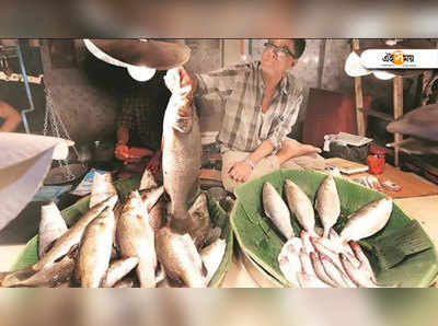 জামাইষষ্ঠীতে কি মাছ অমিল, ব্যবসা বন্ধে ইঙ্গিত সেদিকেই