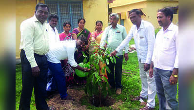 ಮೇಲುಕೋಟೆ ಹಸಿರೀಕರಣಕ್ಕೆ ಯೋಜನೆ