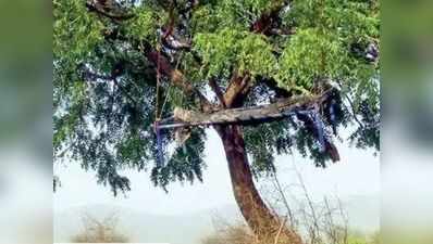 गुजरात के आदिवासी इलाकों में पेड़ों से लटकते शवों के जरिए इंसाफ की गुहार!