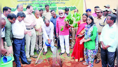 ಹಸಿರೀಕರಣ ಪರಿಹಾರ