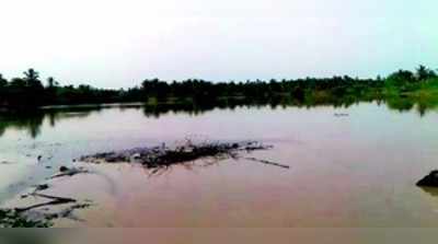 ತುಂಬಿ ಹರಿದ ಕಂಚಿಹಳ್ಳ ನೋಡಲು ಹರಿದು ಬಂದ ಜನ