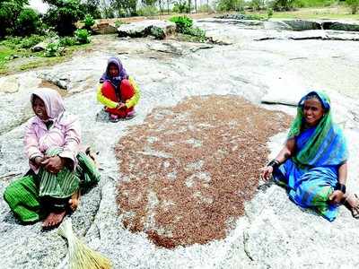 ವರ್ಷಕ್ಕೊಂದು ಬೆಳೆ ಸ್ವಾಮಿ, ಅದನ್ನು ತಪ್ಪಿಸಿದ್ರೆ ಆದೀತೆ!