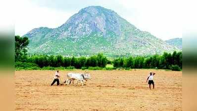 ಕೃಷಿ ಚಟುವಟಿಕೆ ಬಿರುಸು, ರೈತರ ಮೊಗದಲ್ಲಿ ಸೊಗಸು