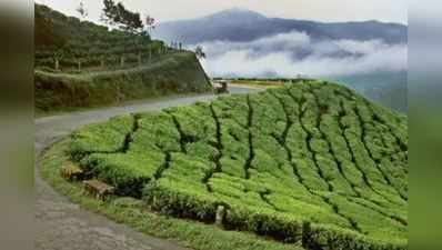 இயற்கை எழில் கொஞ்சும் மூணாரில் உங்களுக்காக காத்திருக்கும் ஆச்சர்யங்கள்...!