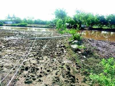 ಭಾರಿ ಮಳೆ, ಗಾಳಿ: ಸಿಡಿಲಿಗೆ ಕುರಿಗಾಹಿ ಬಲಿ