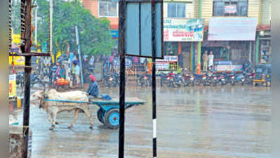 ಹಾವೇರಿಯಲ್ಲಿ ಭರ್ಜರಿ ಮಳೆ