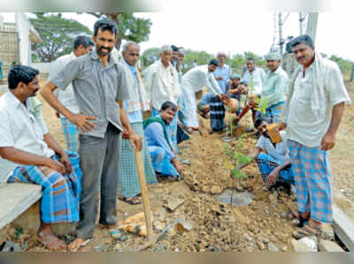 ಸಸಿ ನೆಟ್ಟು ಪರಿಸರ ದಿನಾಚರಣೆ