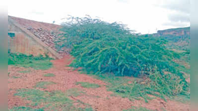 ಕೆರೆ ದುರಸ್ತಿ ಯಾವಾಗ?