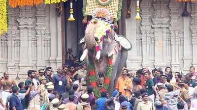 ಹೆಚ್ಚಿದ ಆನೆ ರಾಮನ್‌ ಜನಪ್ರಿಯತೆ