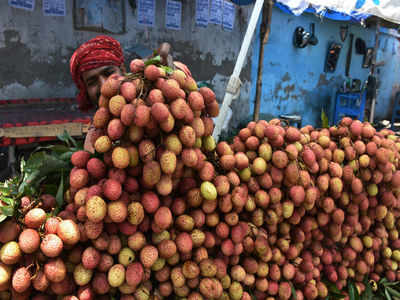 Lychee Diseases: లిచీ పండ్లలో తియ్యని విషం, తింటే పరలోకానికే!