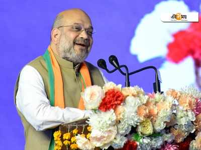 Amit Shah Mango: ‘১ কিলো অমিত শাহ দেবেন?’ পড়ুন আগে, চমকাবেন পরে!