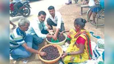 ಸೇಬಿಗಿಂತ ನೇರಳೆಹಣ್ಣು ತುಟ್ಟಿ