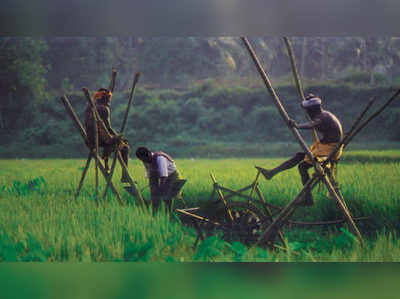 കർഷക കടാശ്വാസവുമായി സര്‍ക്കാര്‍; അപേക്ഷ നൽകേണ്ടതെങ്ങനെ?