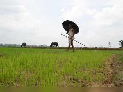 ಜನಪದರ ಒಡಲಾಳದ ಮಳೆಹಾಡು