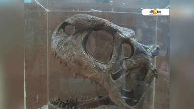 গুজরাটে জুরাসিক পার্ক! খুলে গেল দেশের প্রথম ডাইনোসর মিউজিয়াম