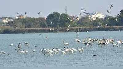 ಹುಣಸಿನಕೆರೆ ಪ್ರವಾಸಿ ತಾಣವಾಗಲಿ