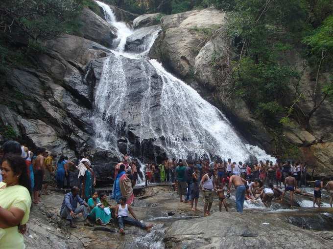 குரங்கு அருவி (மங்கி ஃபால்ஸ்)