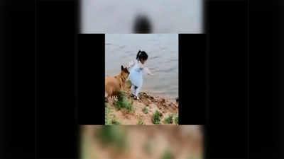 कुत्र्याने वाचवले चिमुरडीचे प्राण; व्हिडीओ वायरल