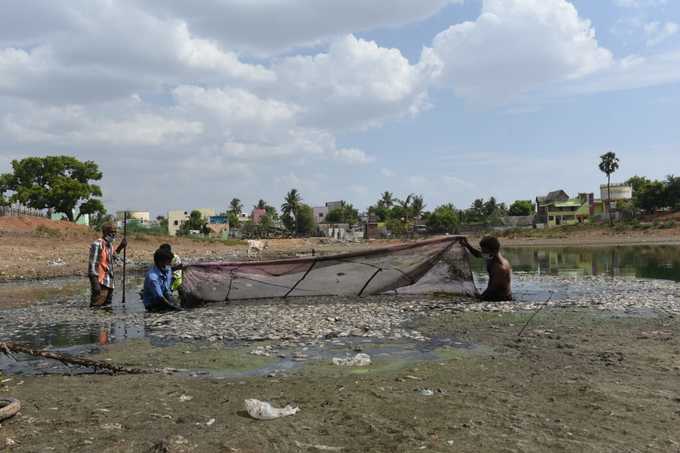 வற்றிய குளம்