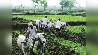 ६६ लाख शेतकऱ्यांच्या खात्यांत दुष्काळी अनुदान