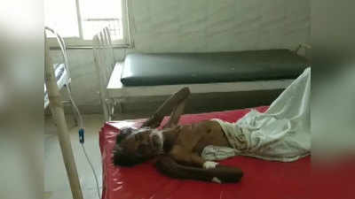 लापरवाहीः रात में डॉक्टरों ने मृत घोषित किया, सुबह जिंदा मिला मरीज