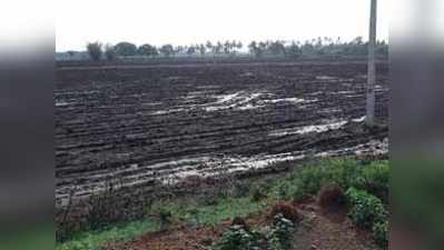 ಕೊಣ್ಣೂರಿನಲ್ಲಿ ಉತ್ತಮ ಮಳೆ