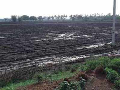 ಕೊಣ್ಣೂರಿನಲ್ಲಿ ಉತ್ತಮ ಮಳೆ