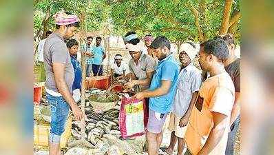 ఇంటికి 2 కిలోల చొప్పున.. నాలుగున్నర టన్నుల చేపలు ఫ్రీగా ఇచ్చాడు!