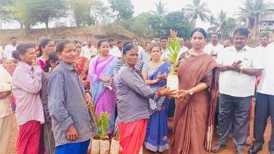 20 ಸಾವಿರ ಗಿಡ ನೆಡುವ ಯೋಜನೆಗೆ ಚಾಲನೆ